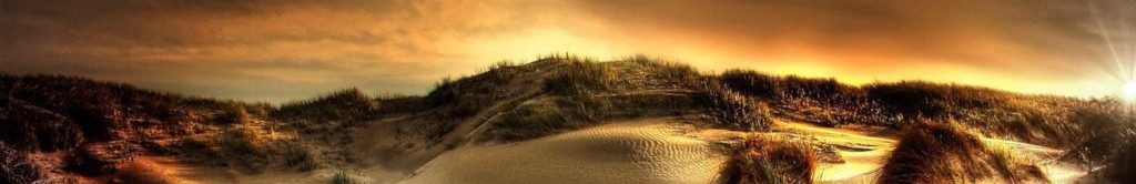 Image of Danish sand dunes cc0
