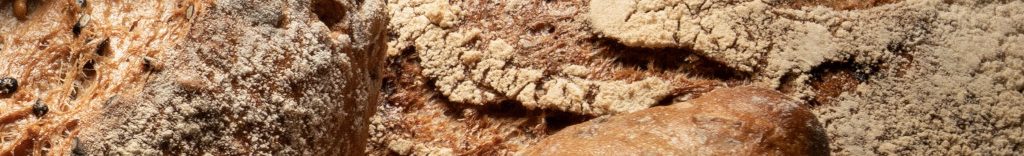 Image of yeast bread cc0