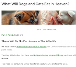 Image of Cats and Dogs eating raw meat.