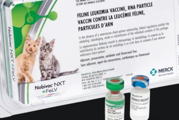 Image of Felv mRNA death injection