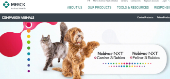 Image of mRNA particle injections for dogs and cats against Rabies